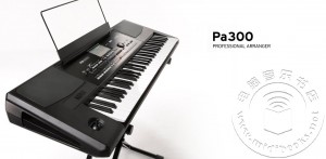 [Musikmesse 2014]: Korg发布最新的便携式编曲键盘Pa300