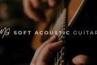 Spitfire Audio 发布 MG Soft 声学吉他：来自 Martin J-40 木吉他的优雅声音