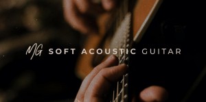 Spitfire Audio 发布 MG Soft 声学吉他：来自 Martin J-40 木吉他的优雅声音