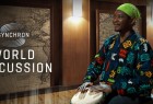 VSL 推出 Synchron World Percussion 打击乐音色库，附带了 500 多个真实的 MIDI 循环（视频）